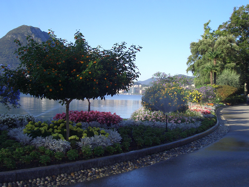 Innaffia Piante Automatico